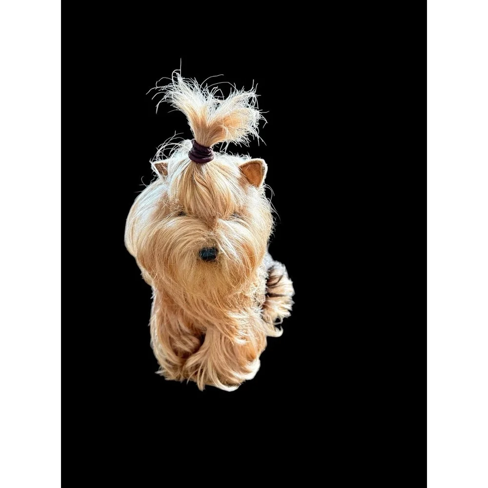 Lively & Lovely Yorkshire Terrier Plush Japanese Made Faux Taxidermy Toy Plush‎